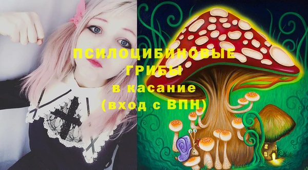 гидра Верхний Тагил