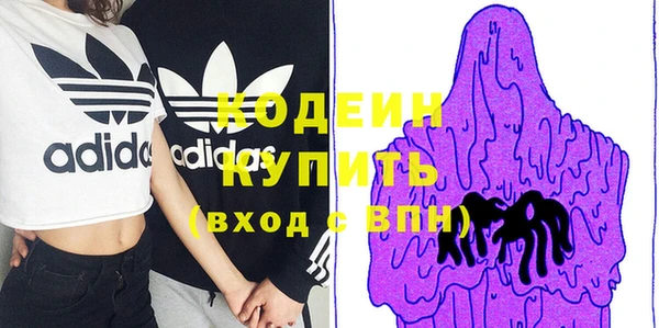 дурь Бородино