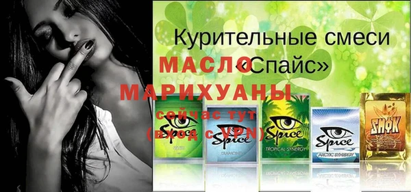 гидра Верхний Тагил