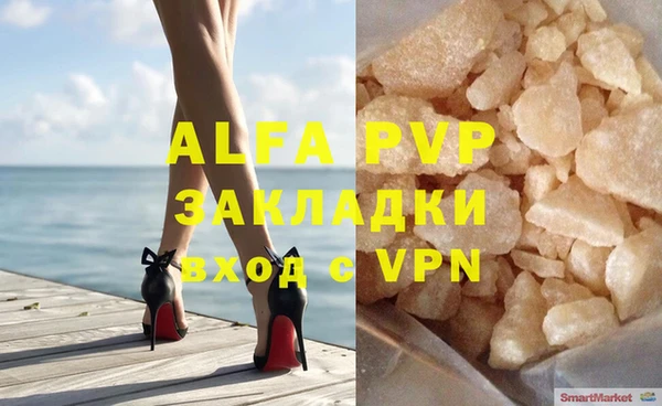 дурь Бородино