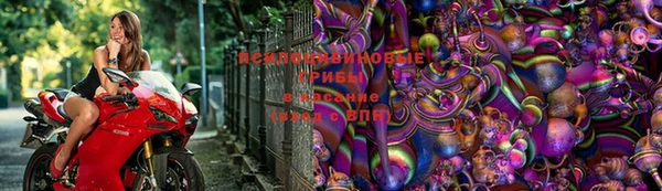 гидропоника Бронницы