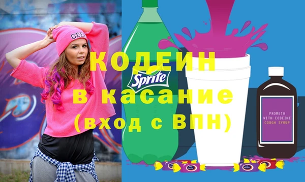дурь Бородино
