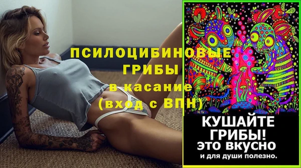прущие крисы Няндома